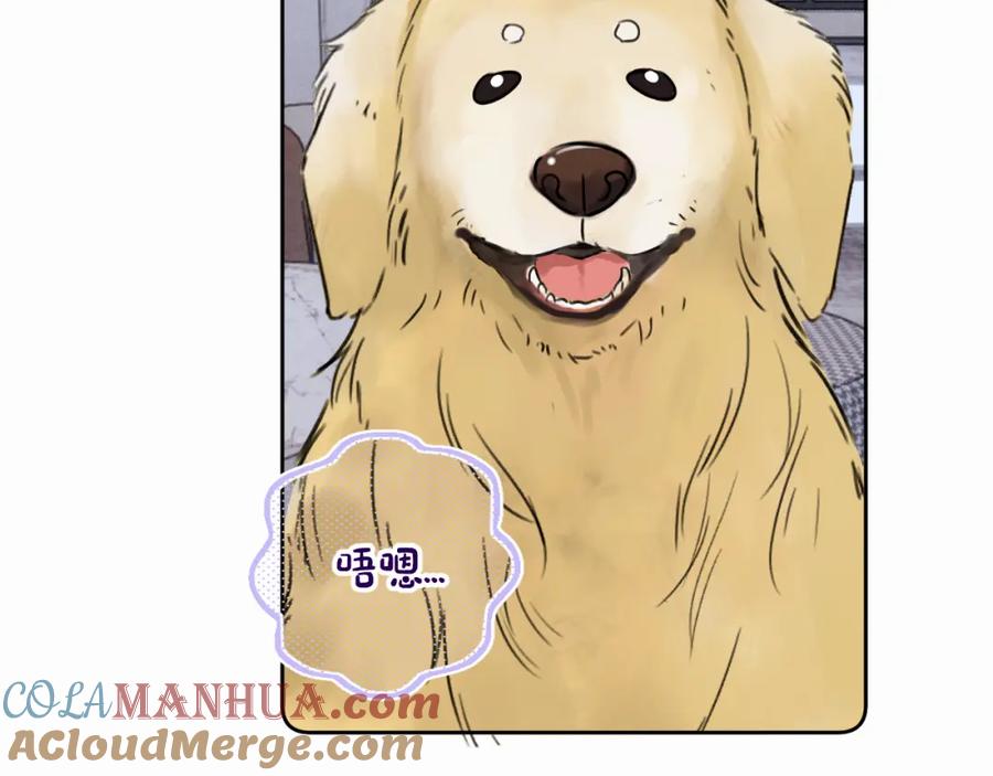 《赎罪之犬》第三十话 室友 第58页