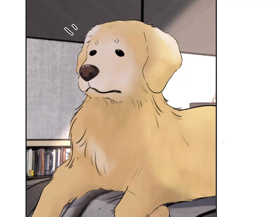 《赎罪之犬》第三十五话 蒋心原的卧室 第95页