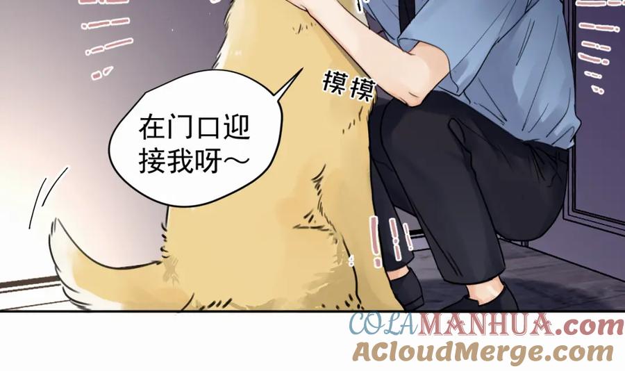 《赎罪之犬》第四话 还在恨我吗 第73页