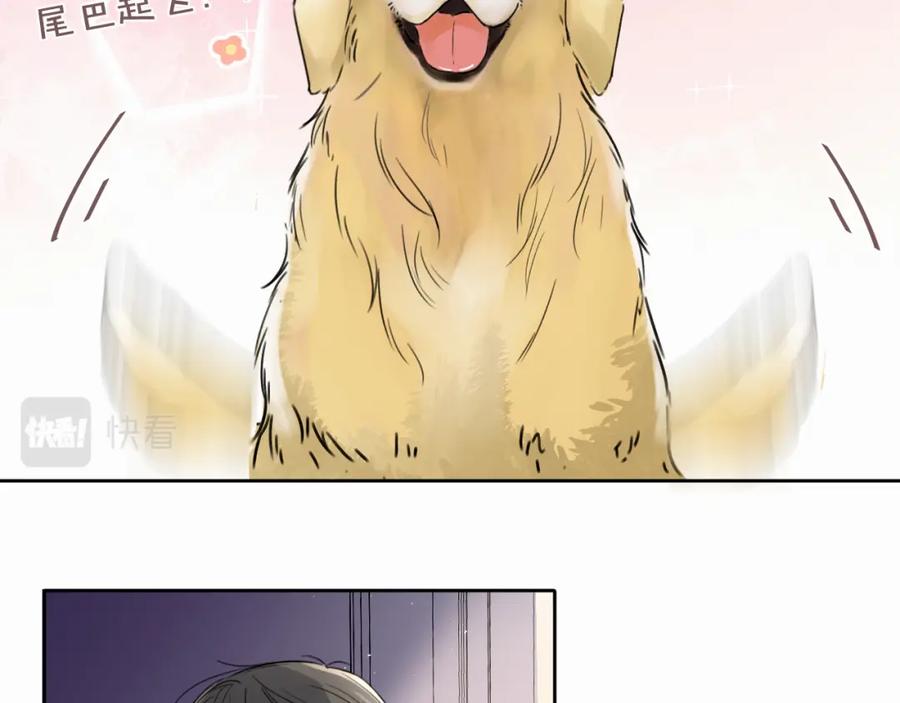 《赎罪之犬》第四话 还在恨我吗 第70页