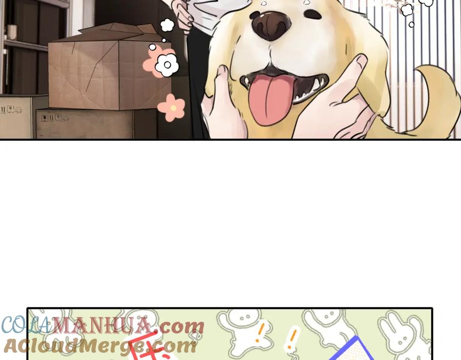 《赎罪之犬》第五十一话 月光，小狗 第13页