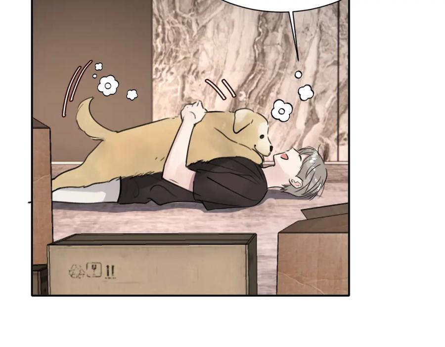 《赎罪之犬》第五十一话 月光，小狗 第11页