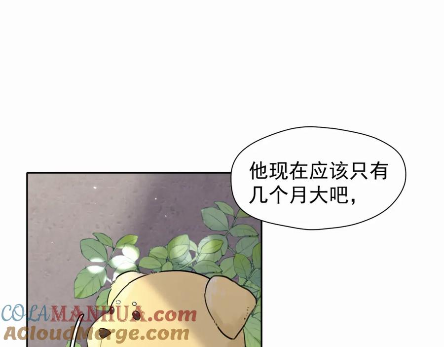 《赎罪之犬》第五话 少年 第4页