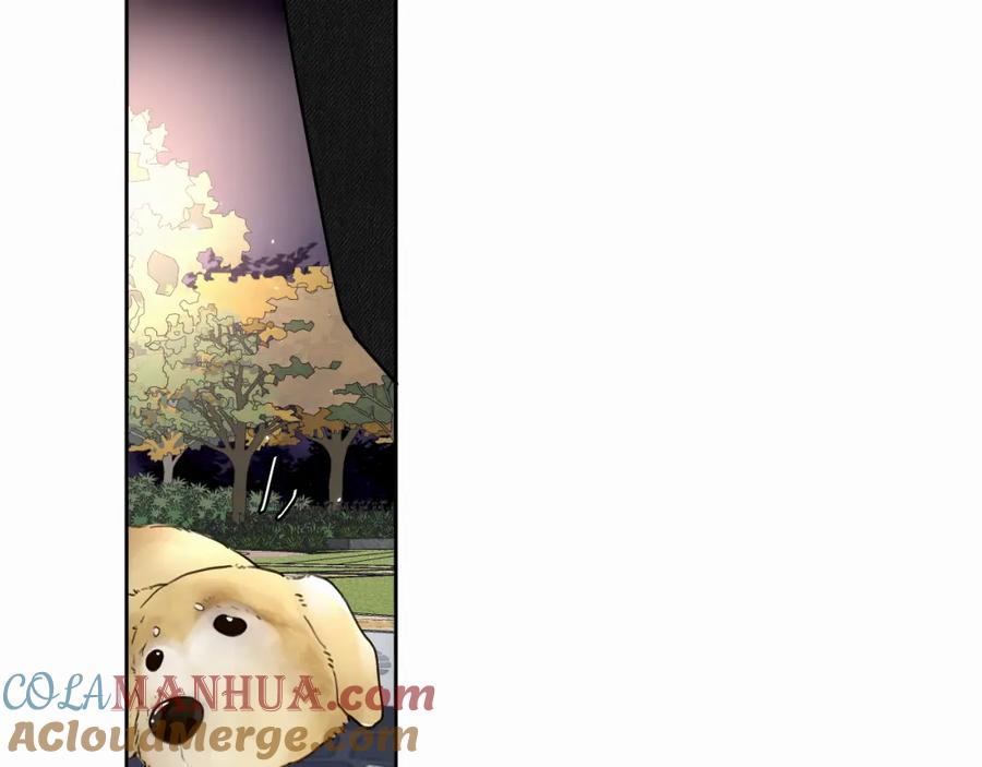 《赎罪之犬》第8话 别再让我找不到你 第89页