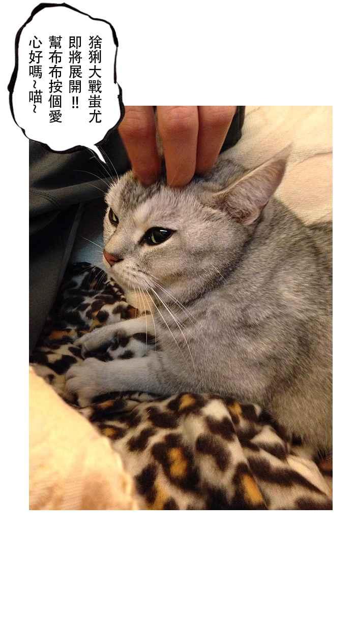 猫剑客 [第67话] 折翼天使 拾，巴蛇 第32页
