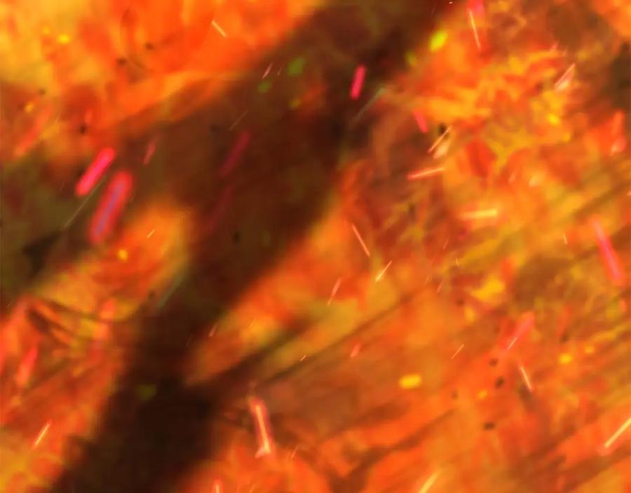 死灵法师：重生的我全技能精通 - 第21话 公然挑战 - 第207张图