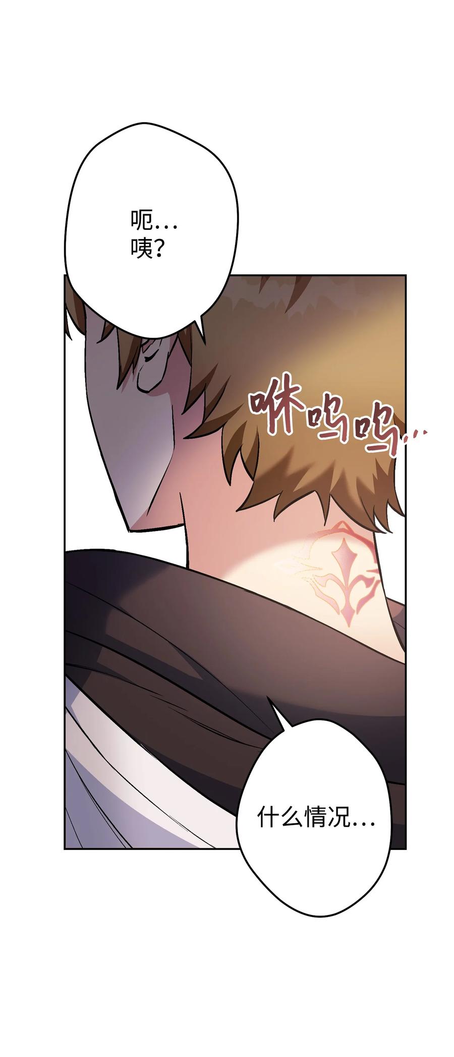 《死灵法师生存记》30 召唤圣骑士 第100页