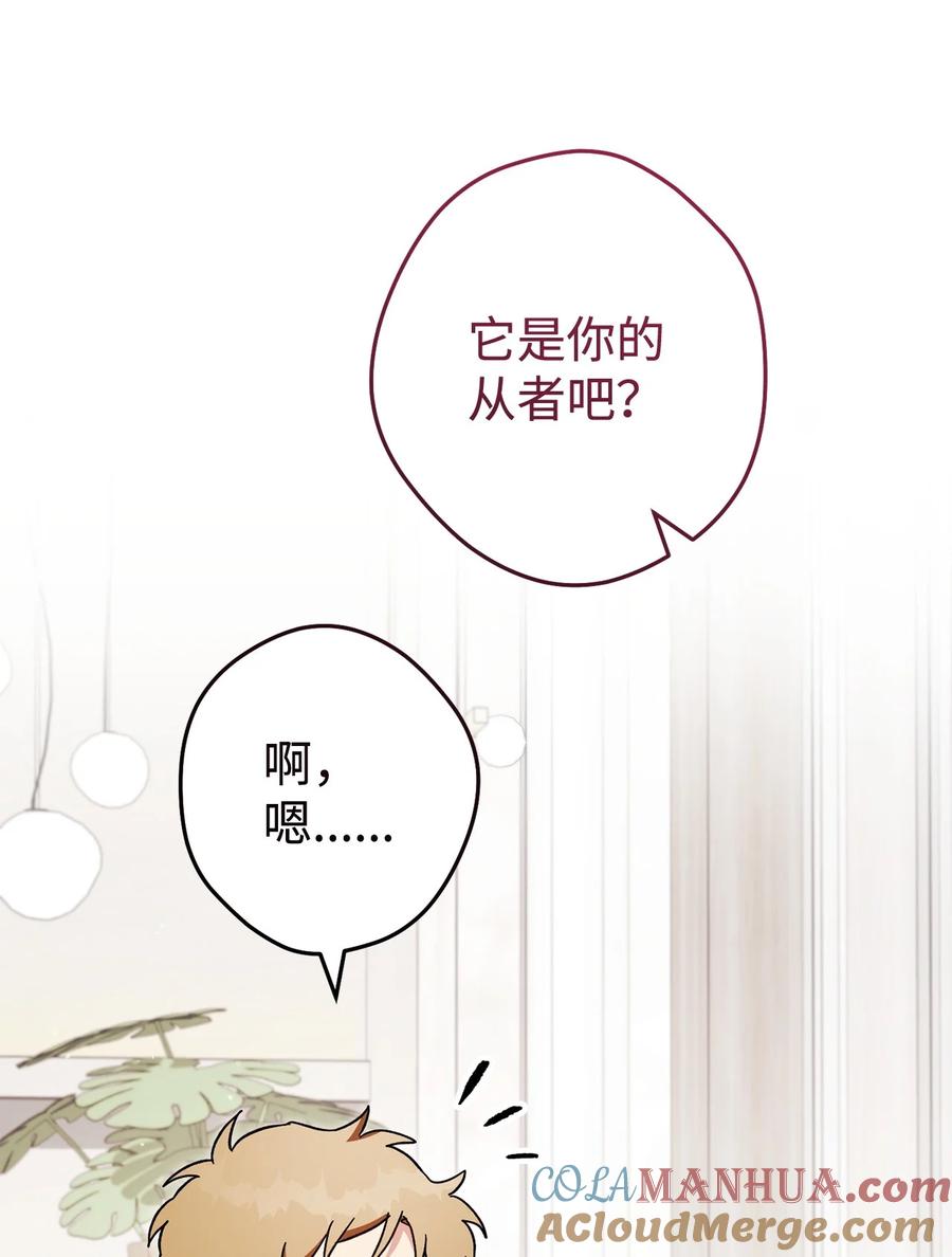 《死灵法师生存记》70 旧人重逢 第61页