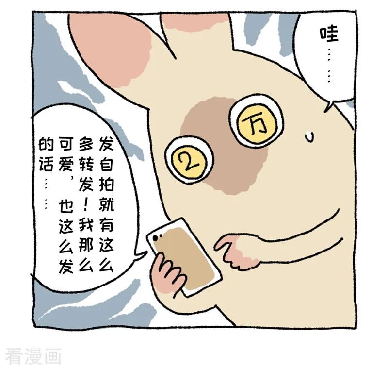 《不切传说》第1话 不切登场 第45页