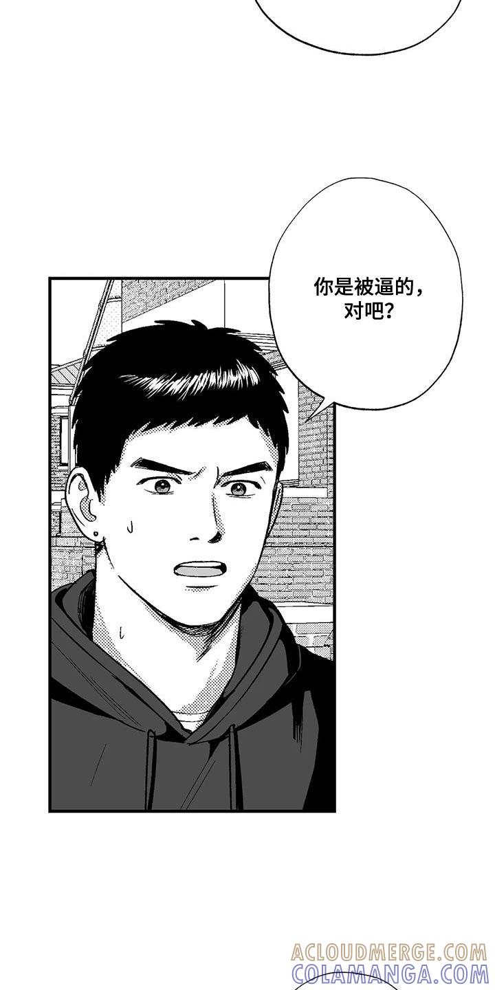 《绯色长夜》第135章：受够了 第13页