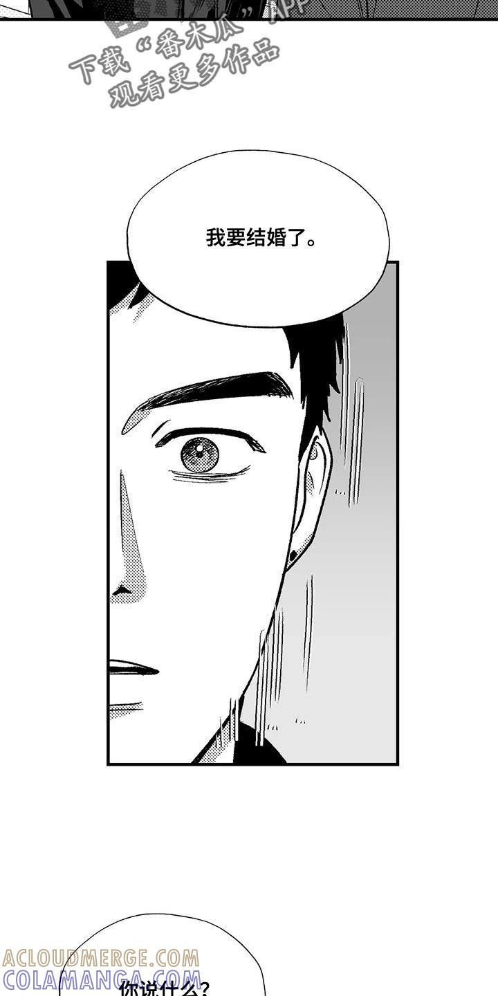 《绯色长夜》第135章：受够了 第15页