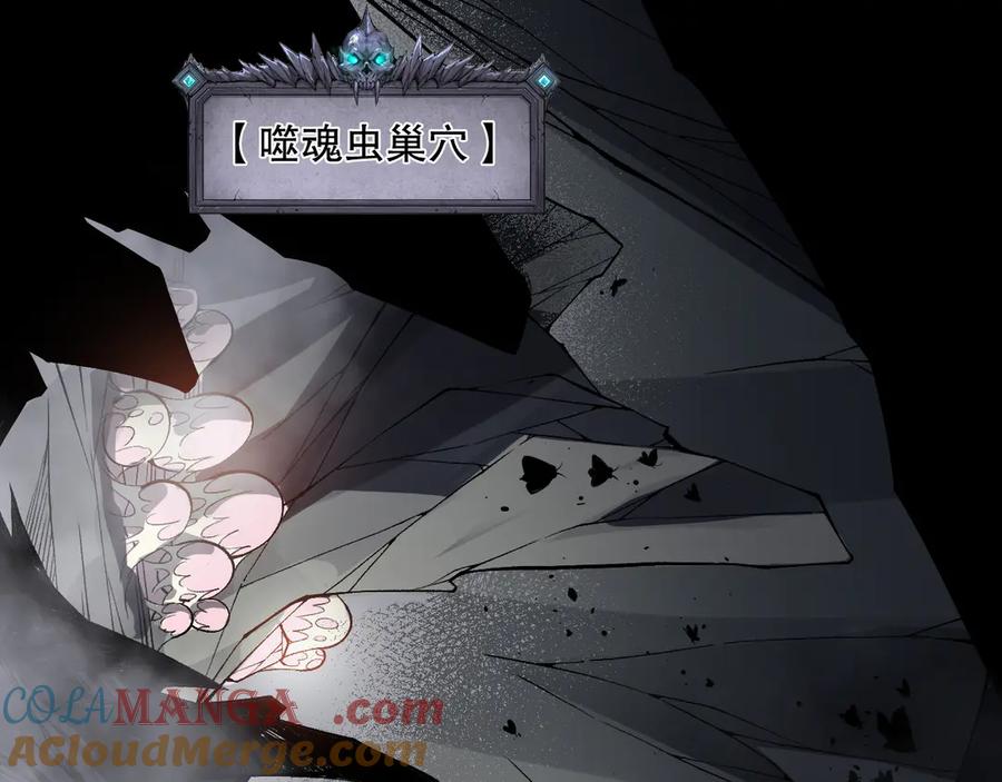死灵法师！我即是天灾 第100话 噬魂虫母 第5页
