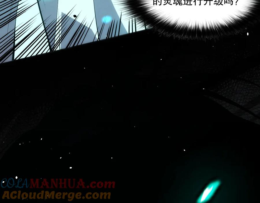 死灵法师！我即是天灾 024话 全新装备 第81页