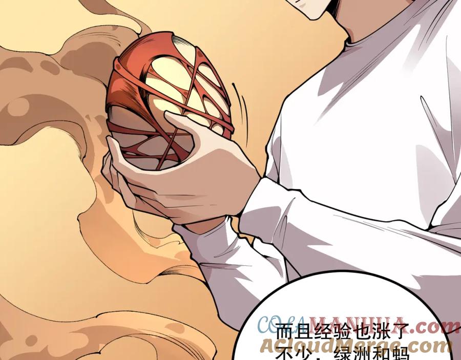 死灵法师！我即是天灾 026话 白银级的骷髅法师 第169页
