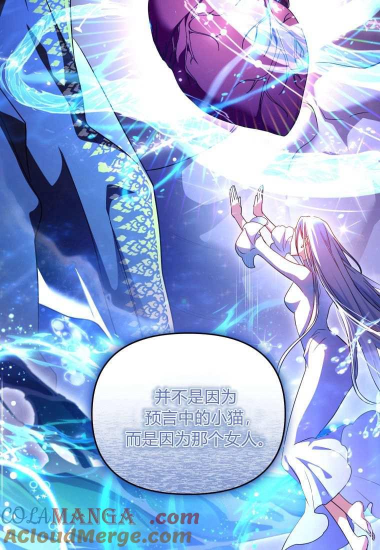 成为苏尔坦珍爱的猫咪 第45话 第61页
