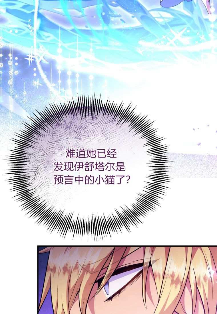 成为苏尔坦珍爱的猫咪 第45话 第62页