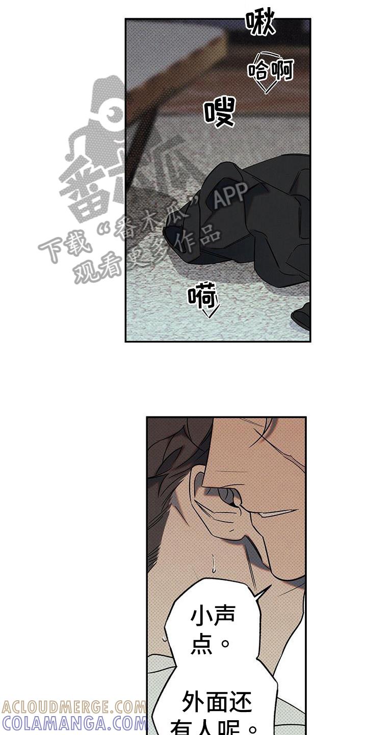 《狂沙肆虐》第51章：庆幸 第19页