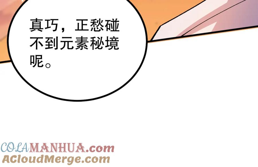 死灵法师！我即是天灾 051话 进入元素秘境 第33页