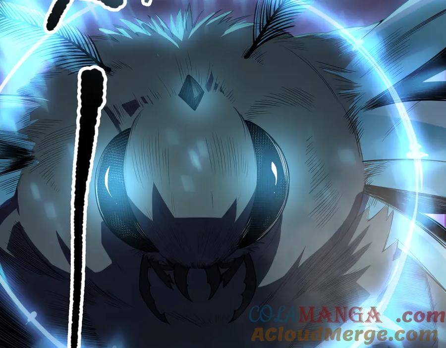 死灵法师！我即是天灾 第098话 虫王暴怒！ 第13页