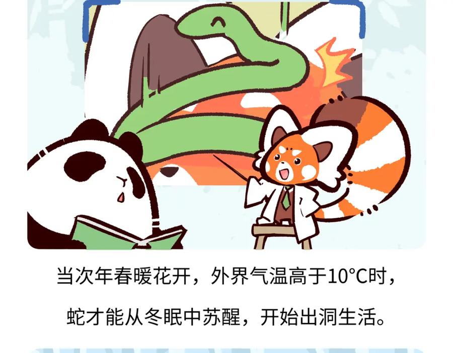 《胖达x胖达》第251话 第20页