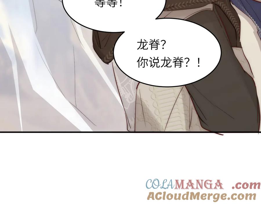 饲龙手册 119 寻找龙脊剑 第117页