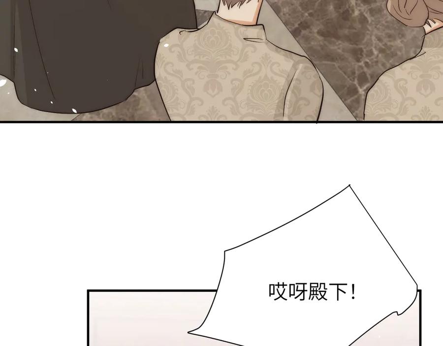 饲龙手册 120 生日快乐卡西多 第18页