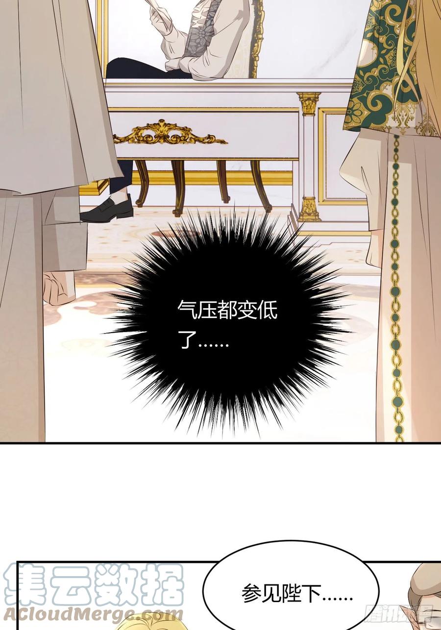 饲龙手册 23 陛下的良苦用心 第40页