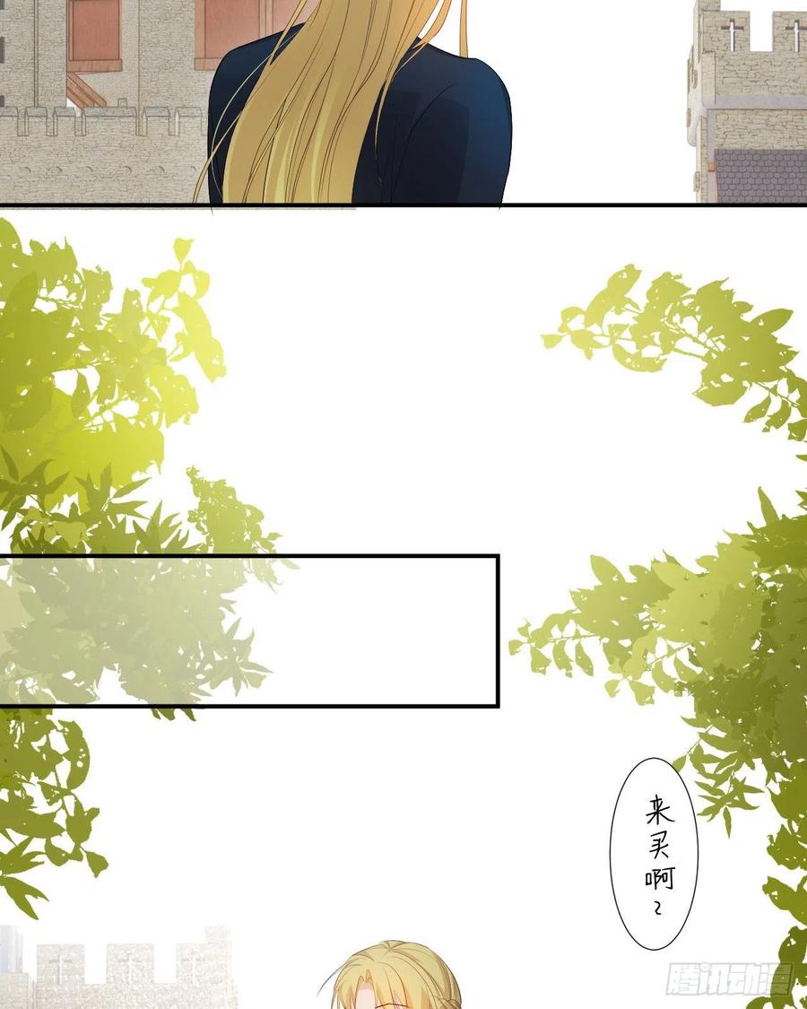 饲龙手册 40 声东击西 第38页