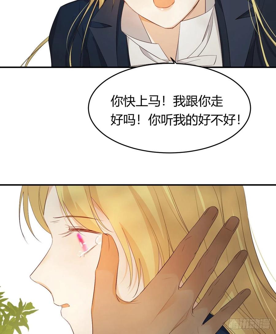 饲龙手册 48 强行化龙 第68页