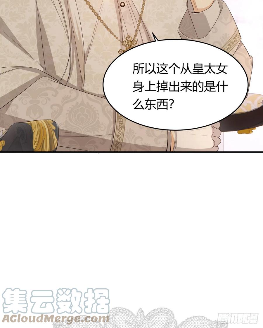 饲龙手册 51 撬动帝国政局的螺丝钉 第67页