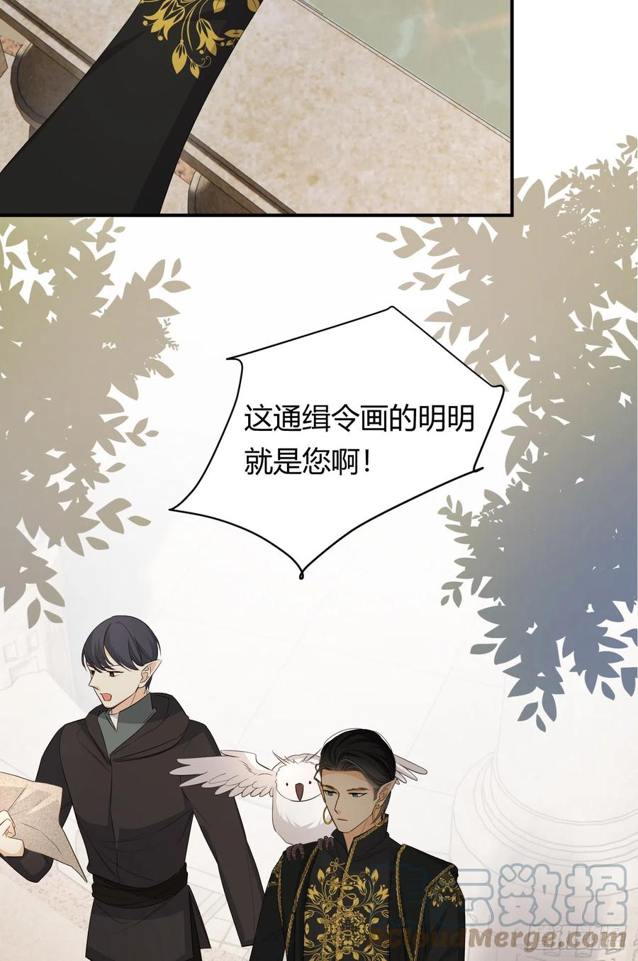 饲龙手册 53 暴君的礼物 第4页