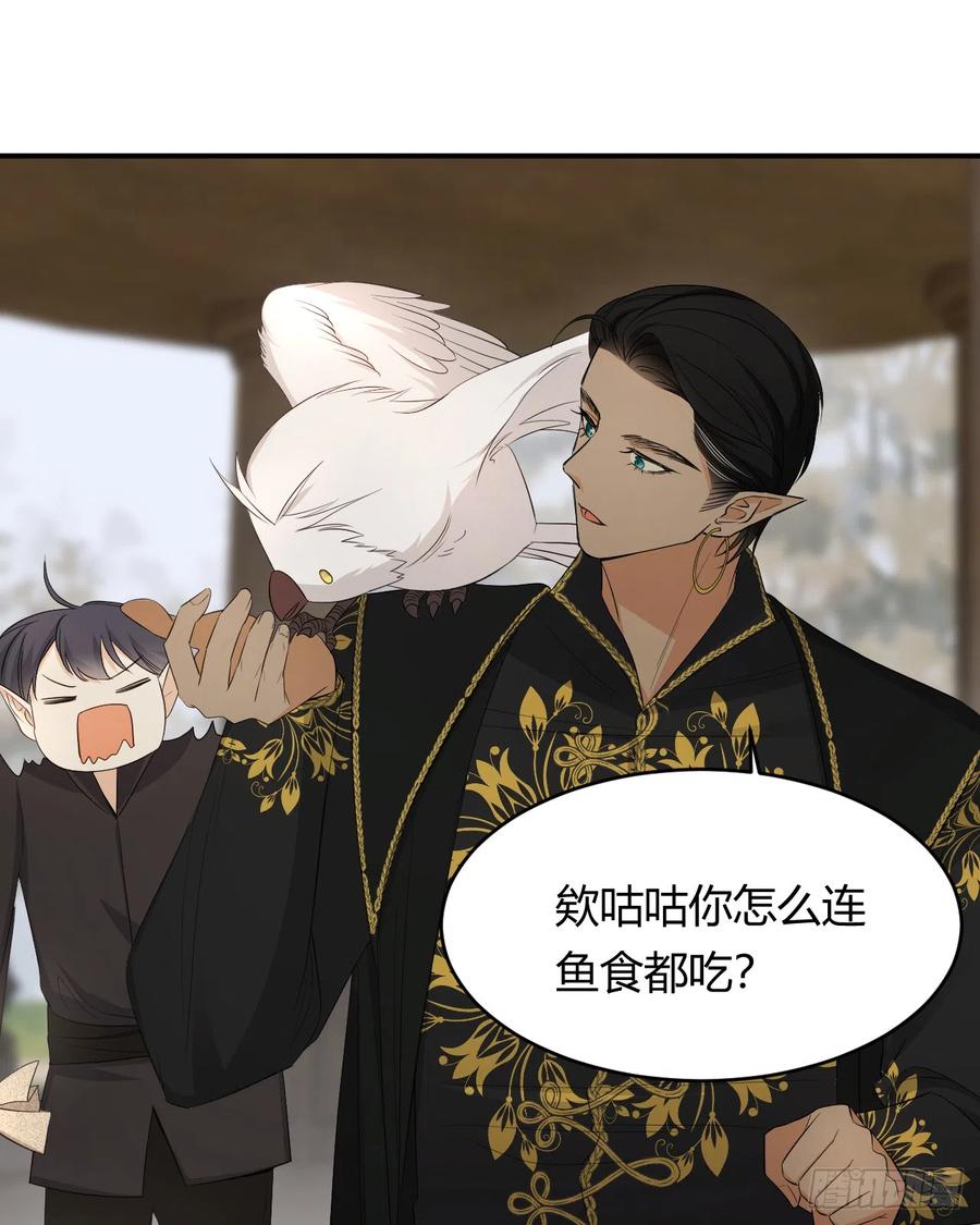 饲龙手册 53 暴君的礼物 第11页