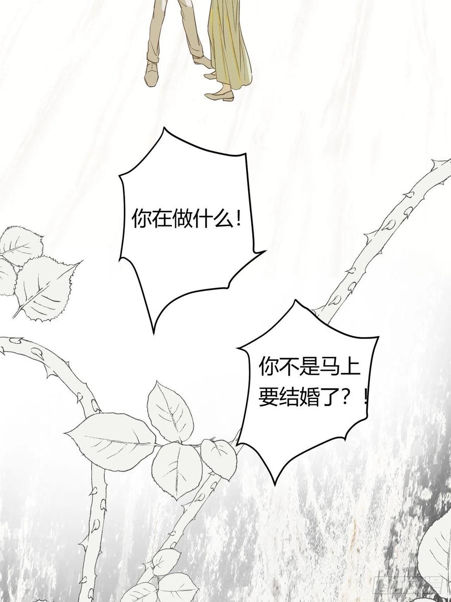 饲龙手册 05欺君之罪 第2页