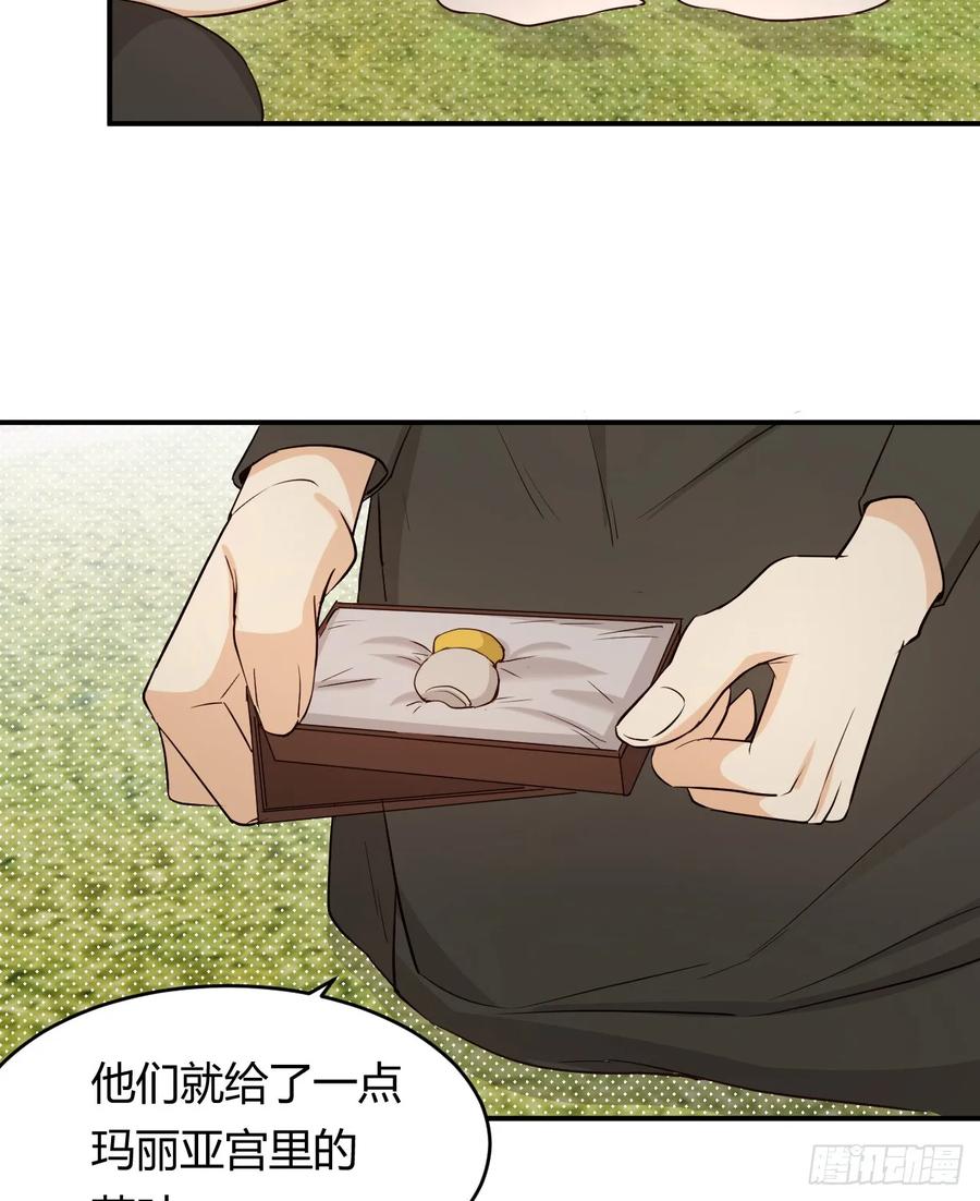 饲龙手册 61 玛丽亚的茶 第29页