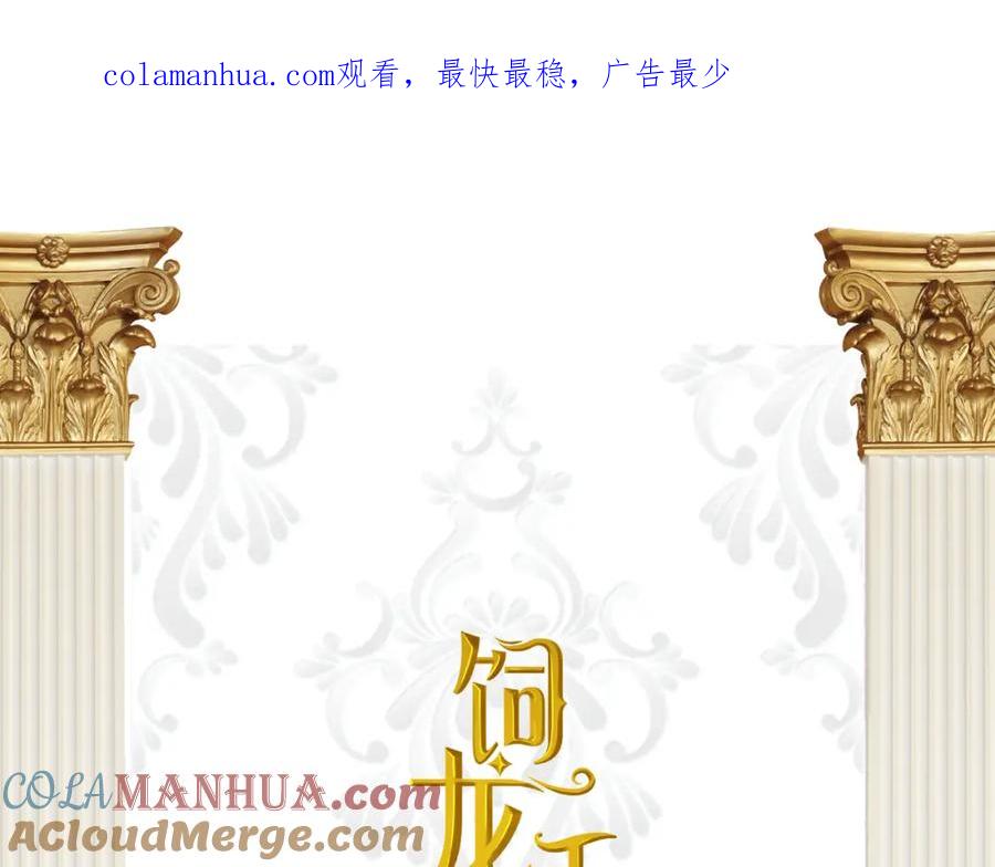 饲龙手册 88 有一种花是永恒的… 第1页