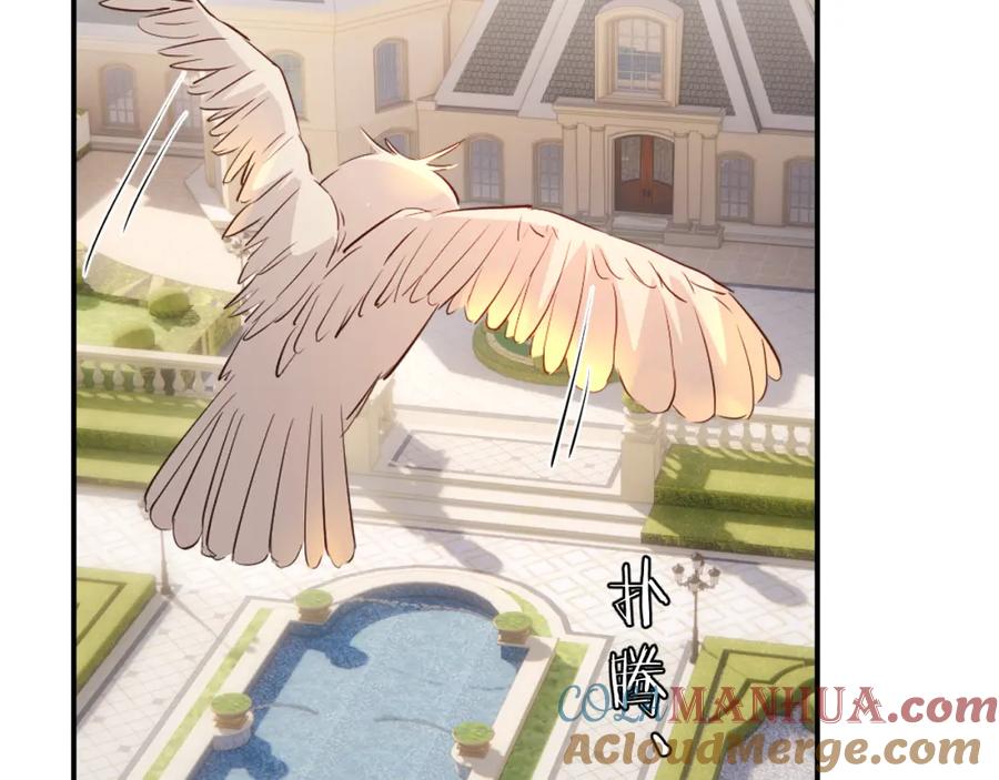 饲龙手册 90 玛丽亚怀孕了！ 第37页