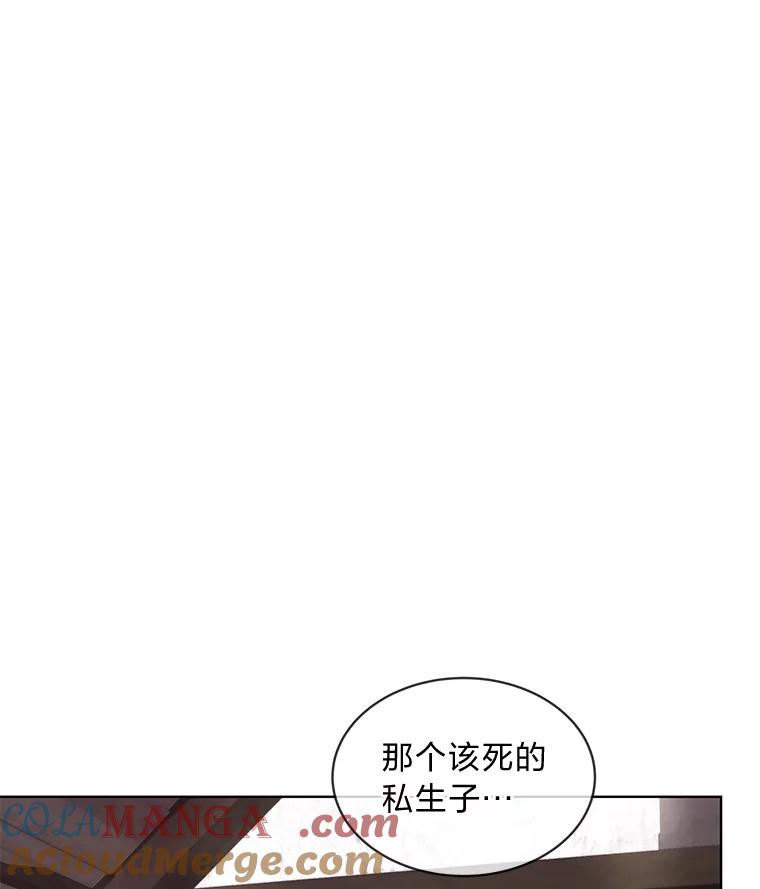 《作为执着侍从活下去》9.厚着脸皮换华衣 第79页