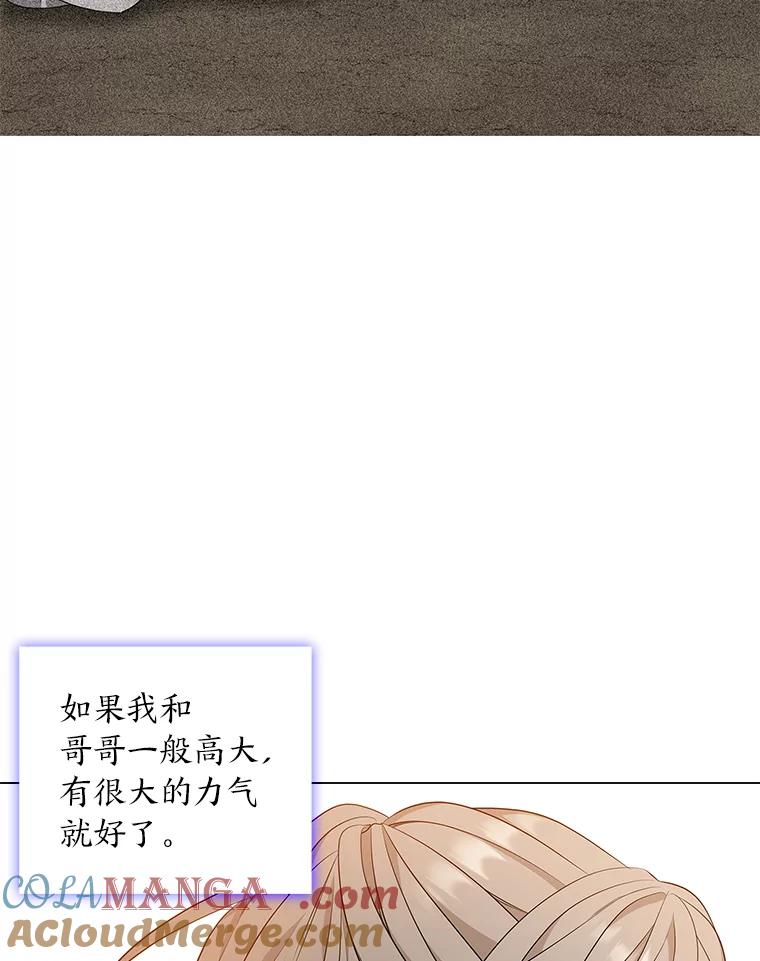 《魅惑狐狸》15.游离今古 第125页
