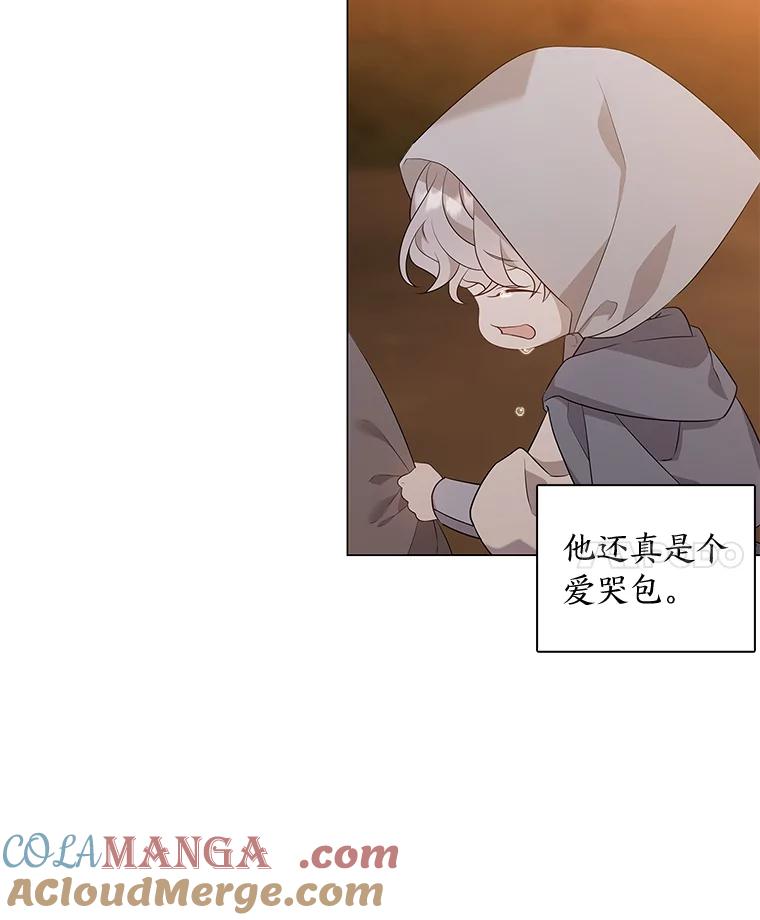 《魅惑狐狸》15.游离今古 第113页
