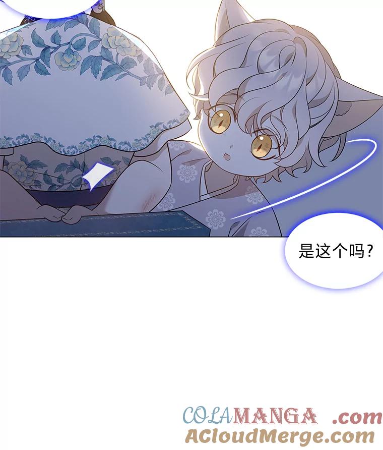 《魅惑狐狸》17.好礼送错人 第89页