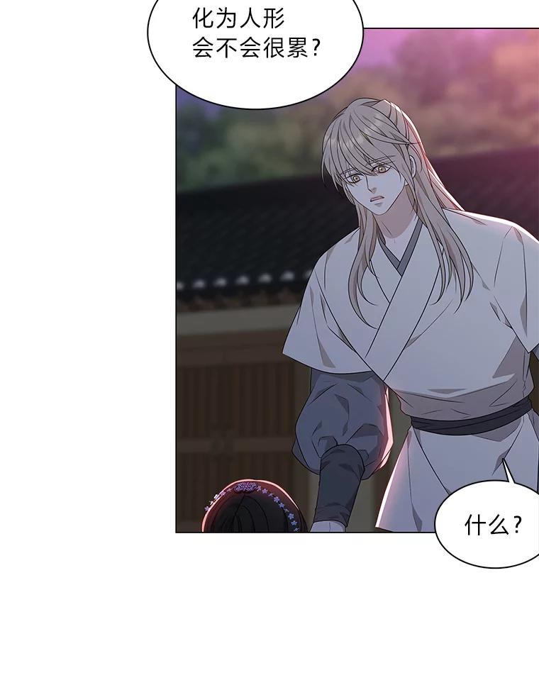 《魅惑狐狸》19.回归同族怀抱 第99页