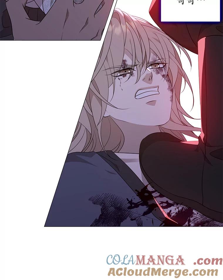 《魅惑狐狸》20.归途遇险 第117页