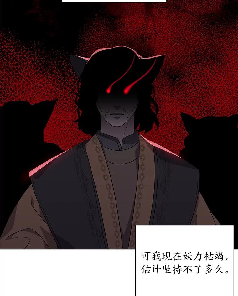 《魅惑狐狸》20.归途遇险 第72页