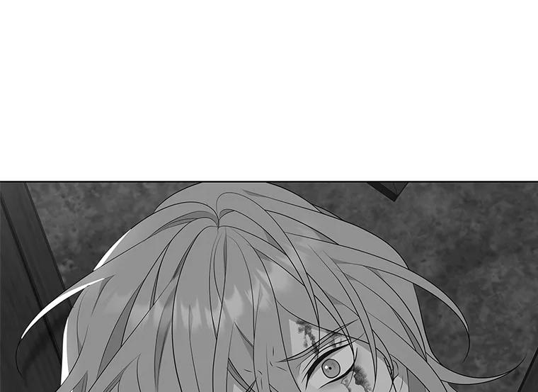 《魅惑狐狸》20.归途遇险 第148页