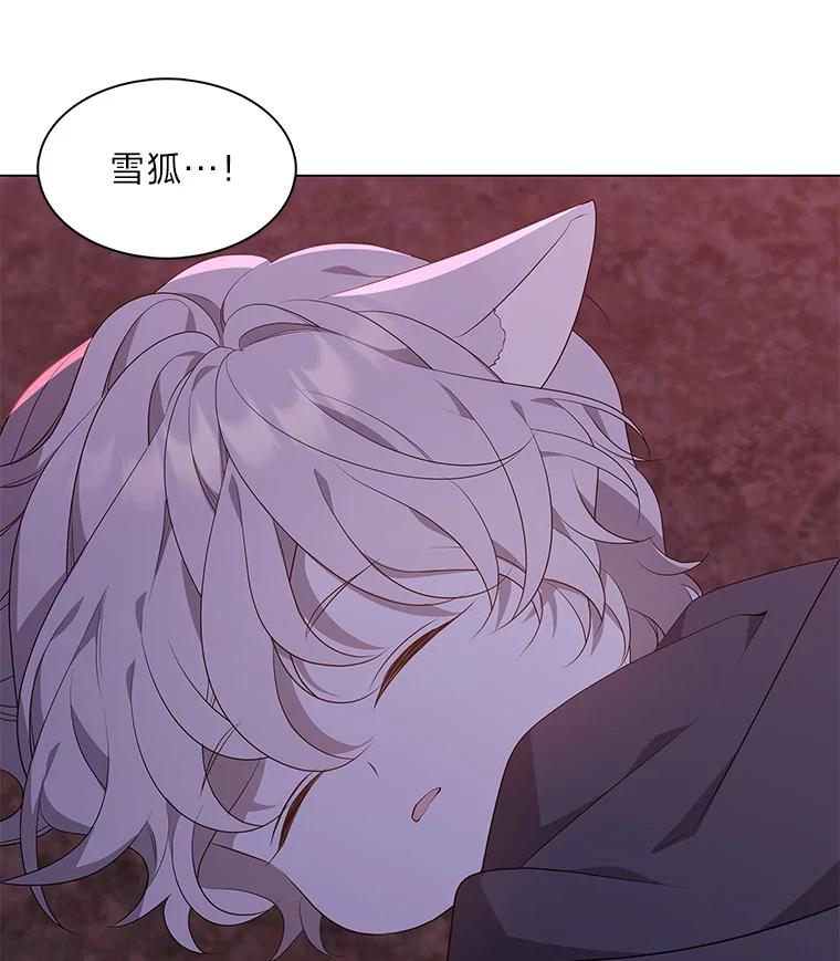 《魅惑狐狸》21.再次回到现在 第23页