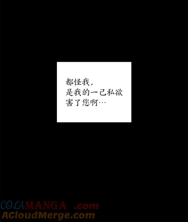 《魅惑狐狸》24.罪魁祸首 第161页
