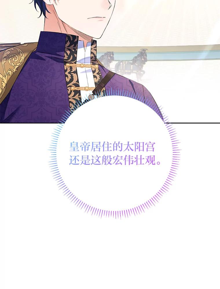 《还以为是绝症丈夫呢》25.谒见皇帝 第74页