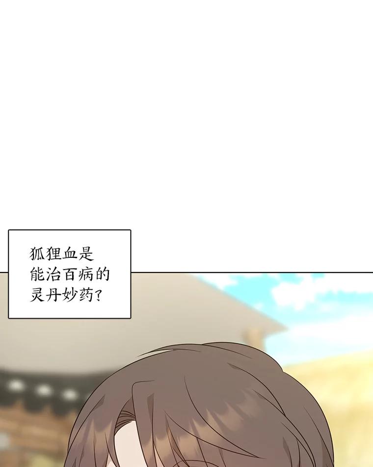 《魅惑狐狸》27.灵药狐狸血 第127页