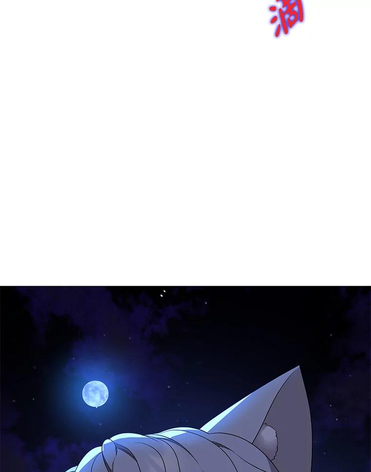 《魅惑狐狸》28.狐狸的传闻 第20页