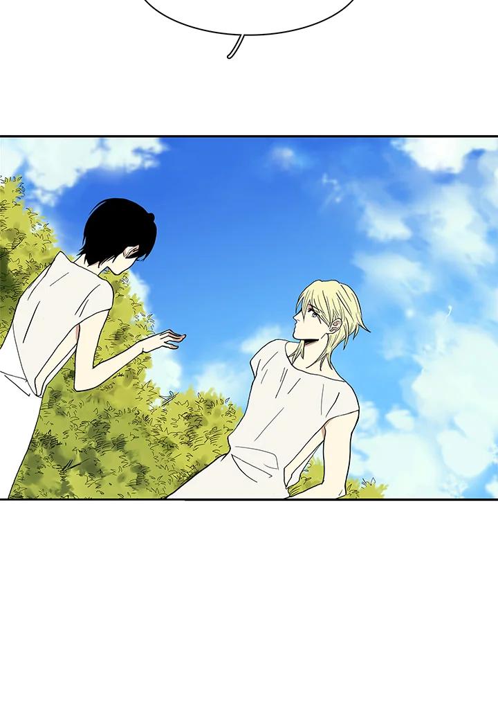 《梅蒂纳》第19话 第45页
